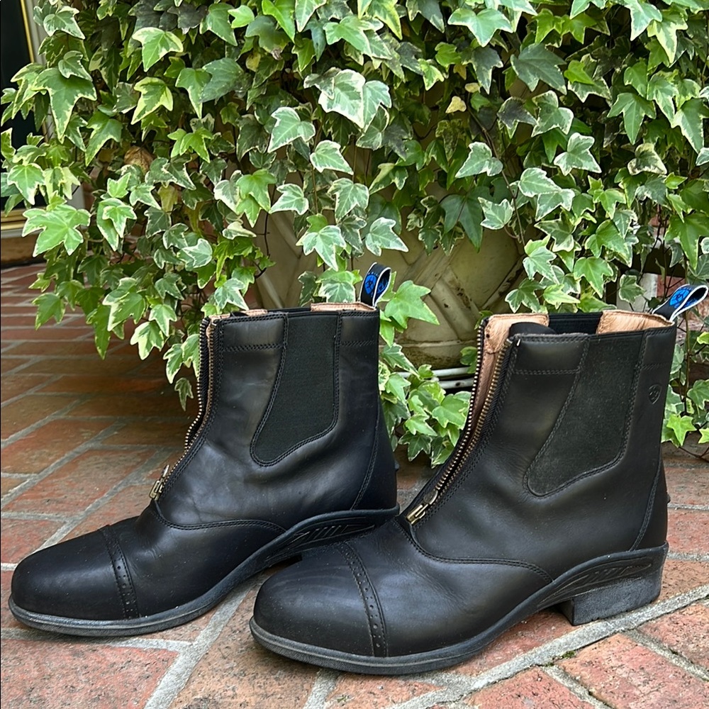 Ariat Paddock Boots